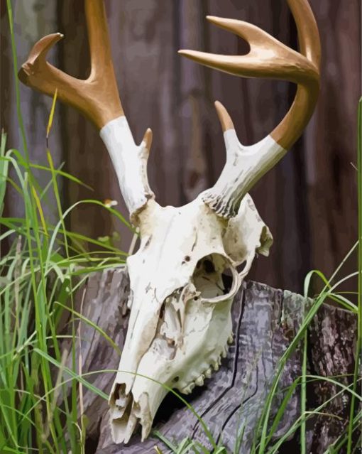 Deer Skull Paint By Number
