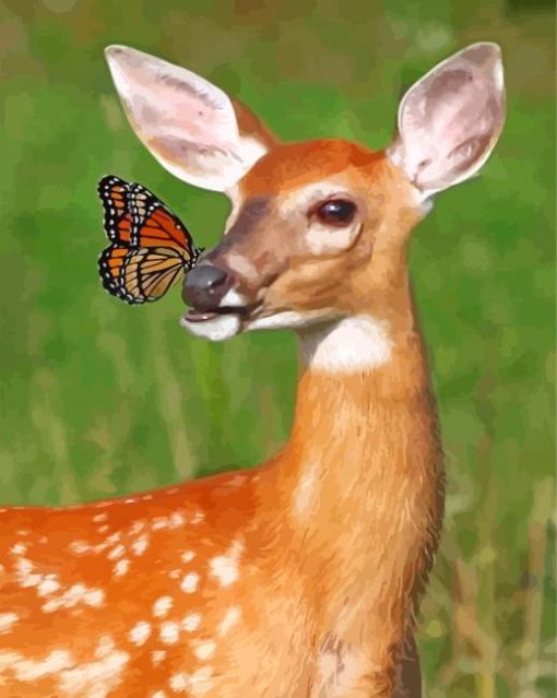 Monarch Butterfly Doe Paint By Number