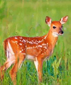 Dear Doe Animal Paint By Number