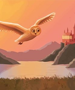 Hedwig Hogwarts Paint By Number