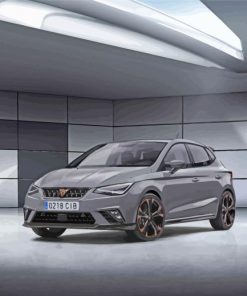 Grey Cupra Paint By Number