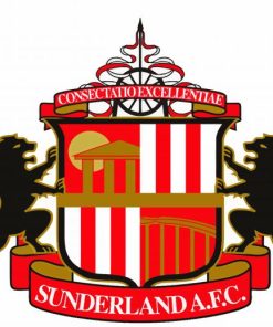 Logo Sunderland AFC Paint By Number