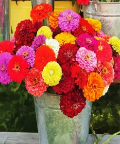 Mixed Zinnias Paint By Number
