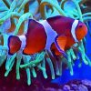 Clownfish Underwater Paint By Number
