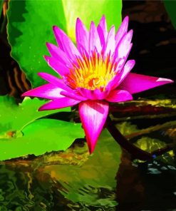 Pink Water lily Paint By Number