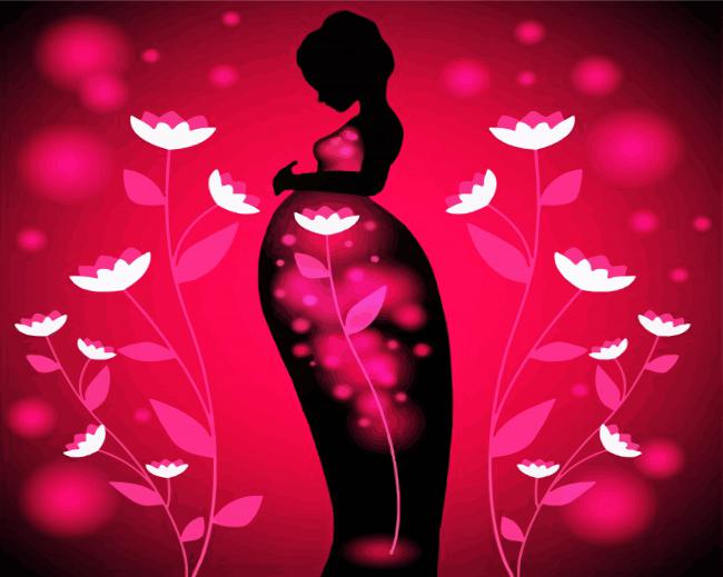 Pregnant Floral Lady Paint By Number