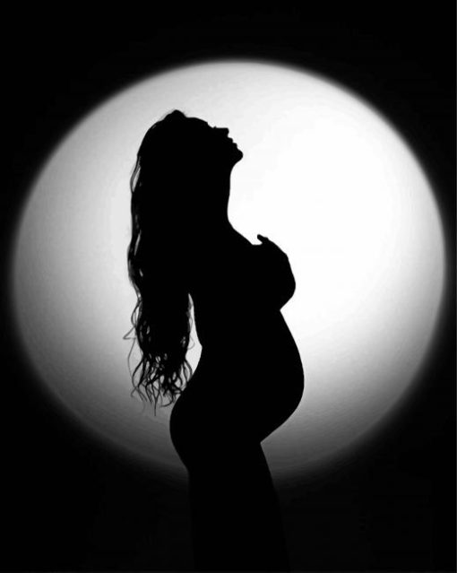 Pregnant Woman Silhouette Paint By Number