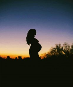 Pregnant Lady Silhouette Paint By Number