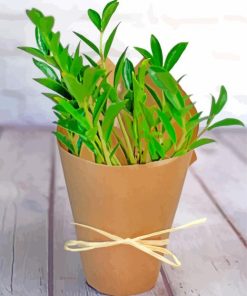 Small Zamioculcas Plant Paint By Number