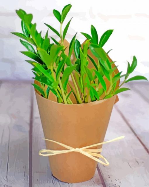 Small Zamioculcas Plant Paint By Number