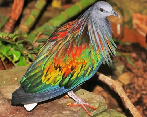Tropical Pigeon Doves Paint By Number