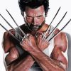 X-Men Wolverine Paint By Number