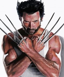 X-Men Wolverine Paint By Number