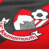 AFC Bournemouth Logo Paint By Number