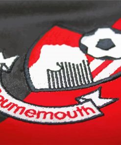 AFC Bournemouth Logo Paint By Number