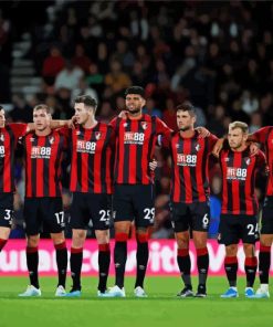 AFC Bournemouth Players Paint By Number