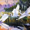 Abstract Crane Birds Flying Paint By Number