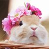 Adorable Rabbit With Flower Wreath Paint By Number