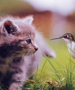 Adorable Cat And Hummingbird Paint By Number