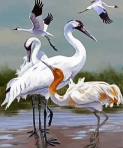 Aesthetic Abstract Crane Birds Art Paint By Number