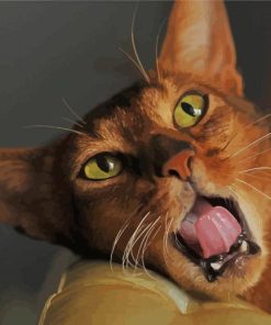 Aesthetic Abyssinian Cat Paint By Number