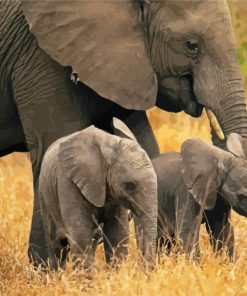 Aesthetic Elephant And Two Babies Paint By Number