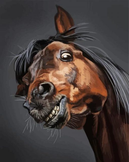 Aesthetic Funny Horse Paint By Number