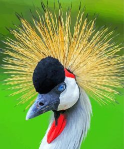 Aesthetic Mohican Bird Paint By Number