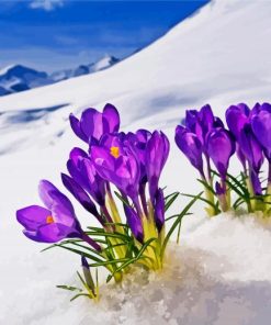 Aesthetic Spring Flower In Snow Paint By Number