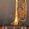 Aesthetic Tuba Paint By Number