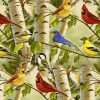 Aesthetic Birds On Birch Trees Paint By Number