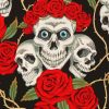 Aesthetic Skulls And Roses Paint By Number