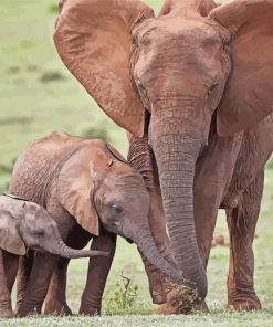 African Elephant And Two Babies Paint By Number