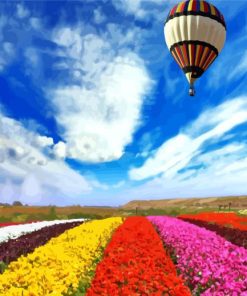 Air Balloon Over Colorful Flowers Field Paint By Number