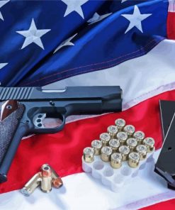 American Flag With Gun And Bullets Paint By Number