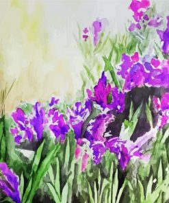 Iris Flowers Art Paint By Number