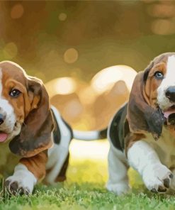 Basset Hounds Puppies Paint By Number