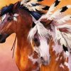 Beautiful Native Horses Paint By Number