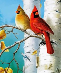 Birch Trees And Birds Paint By Number