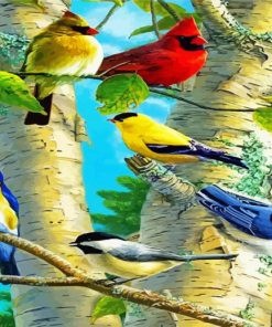 Birds On Birch Trees Paint By Number