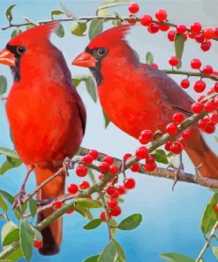 Birds And Red Berries Paint By Number