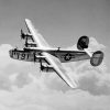 Black And White B 24 Liberator Paint By Number