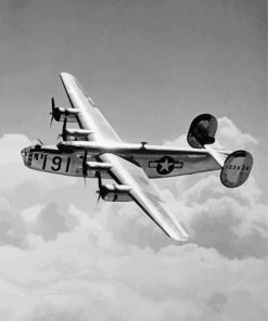 Black And White B 24 Liberator Paint By Number