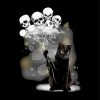 Black Cat And Skull Paint By Number