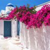 Bougainvillea Greece Paint By Number