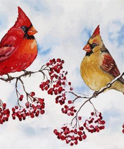 Cardinal Birds And Red Berries Paint By Number