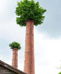 Chimney Reclaiming Nature Paint By Number