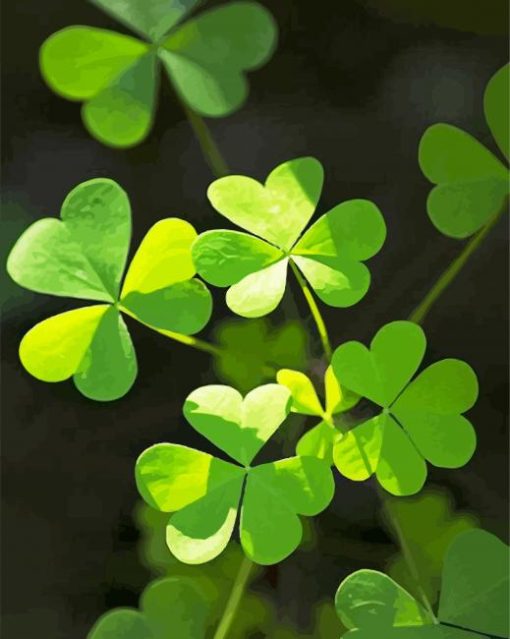 Clovers Paint By Number