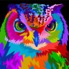 Colorful Mandala Strix Paint By Number