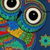 Colorful Mandala Bird Owl Paint By Number